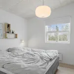 4 Bedroom In 度假居 Hadsund